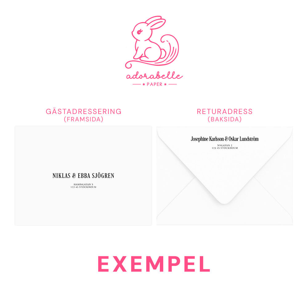 Save the Date-kort – Rosa Boho akvarell & pampasdesign - A6 Tryckt kort för bröllopsdatum BR011