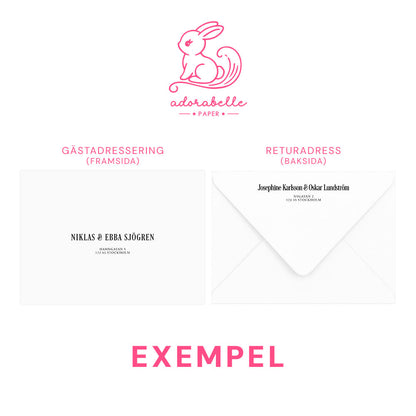 Save the Date-kort – Rosa Boho akvarell & pampasdesign - A6 Tryckt kort för bröllopsdatum BR011