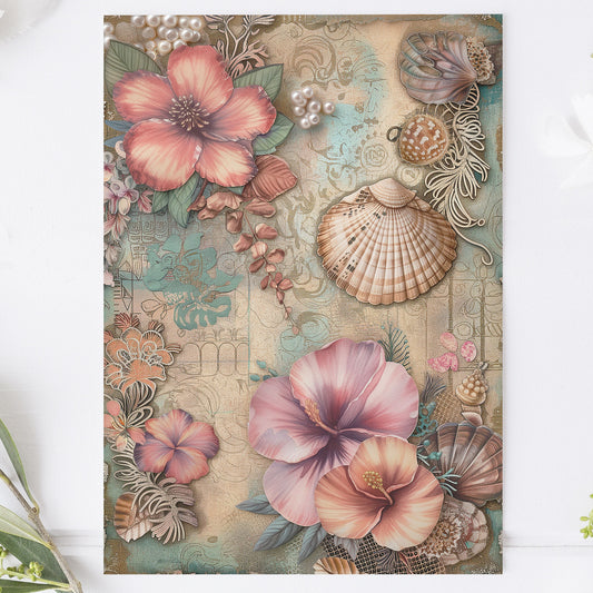 Vykort för postcrossing, scrapbooking & dekoration - Vintage Snäckor PC517