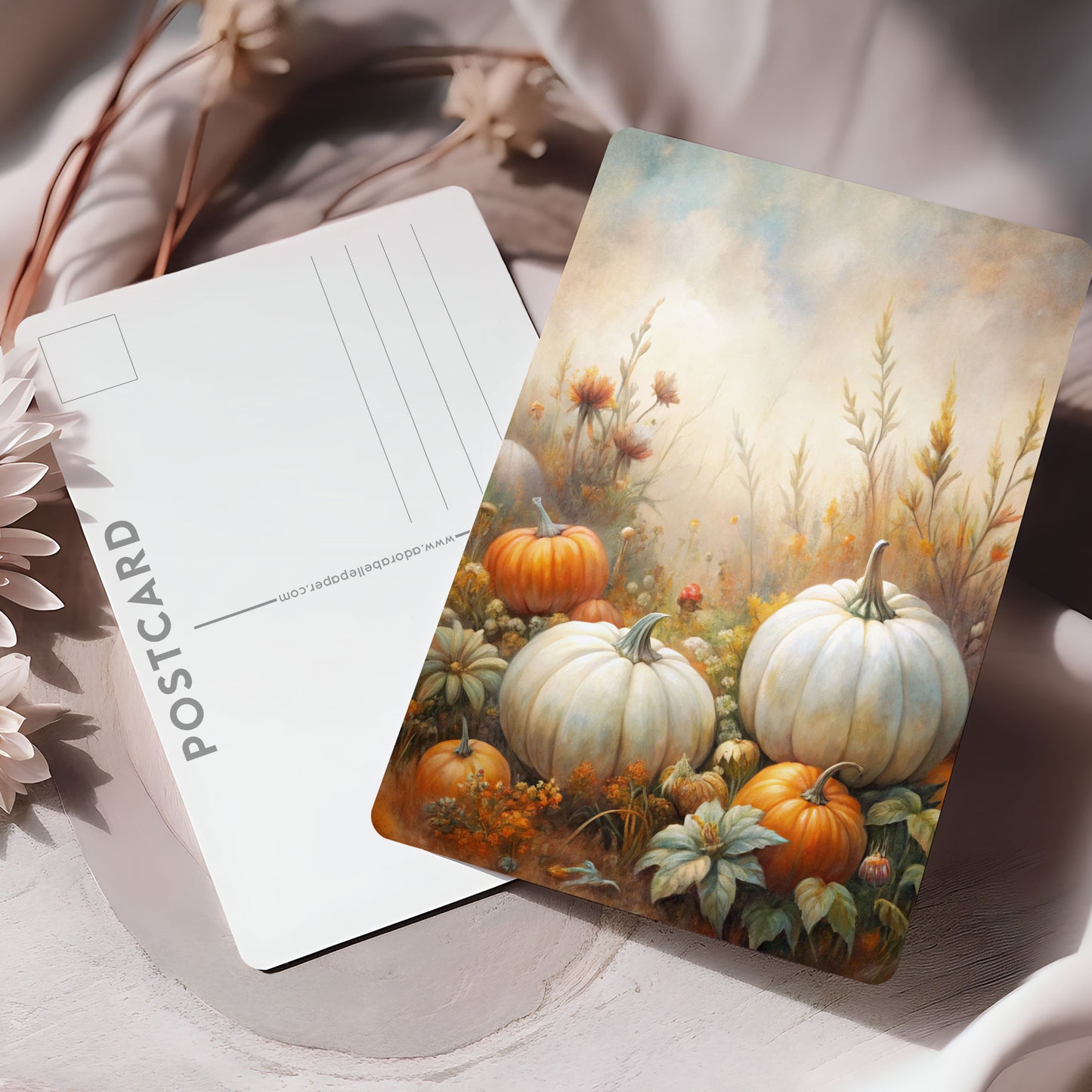 Vykort för postcrossing, scrapbooking & dekoration - Vita pumpor PC633